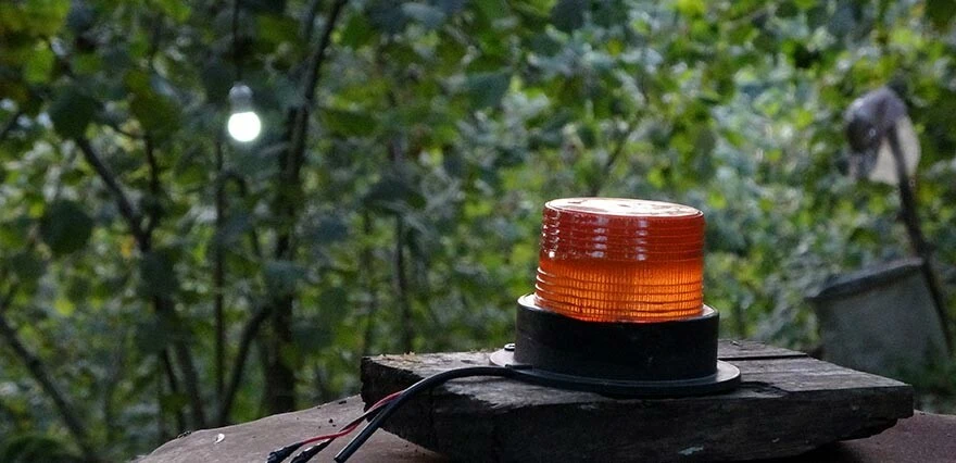 Karadenizli zekasını konuşturdu, gelir kapısını kurtardı! Bulduğu yöntemle domuz sürüsü anında kaçıyor