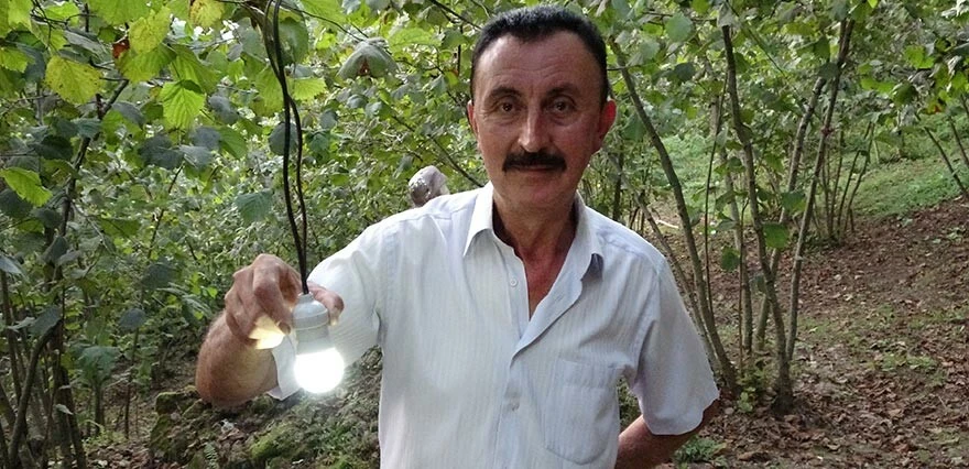 Karadenizli zekasını konuşturdu, gelir kapısını kurtardı! Bulduğu yöntemle domuz sürüsü anında kaçıyor