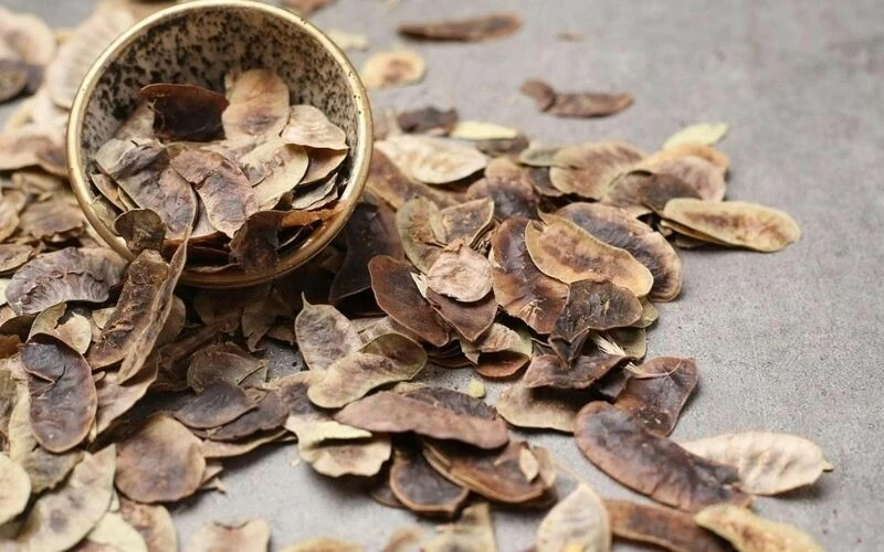 Günde iki bardak yeterli oluyor… 10 günde 10 kilo verdiren bitkiyle tığ gibi olmanız mümkün!