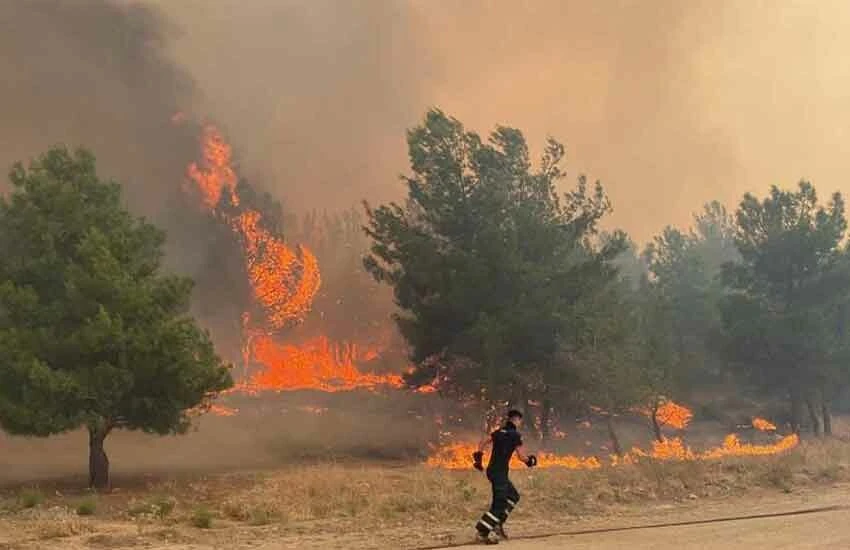 Çanakkale'deki orman yangınına müdahale ediliyor.