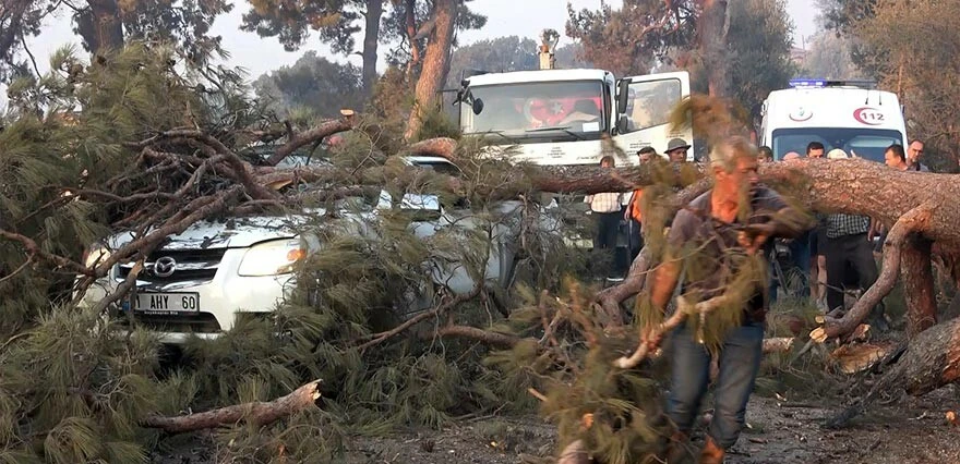 Çanakkale'de yangına müdahale ederken üzerine ağaç devrildi