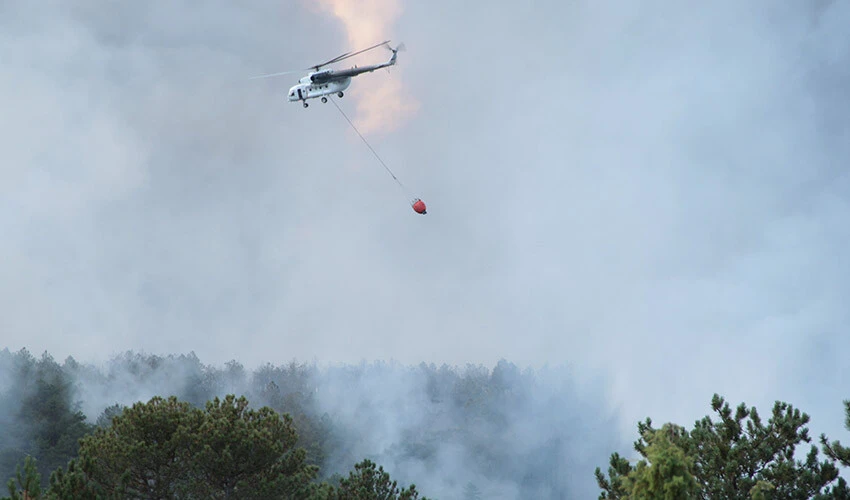 Eskişehir'de orman yangını: Saatlerdir alevlere müdahale ediliyor