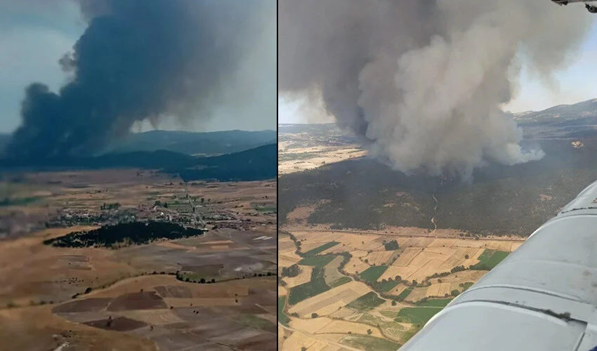 Eskişehir'de orman yangını: Saatlerdir alevlere müdahale ediliyor