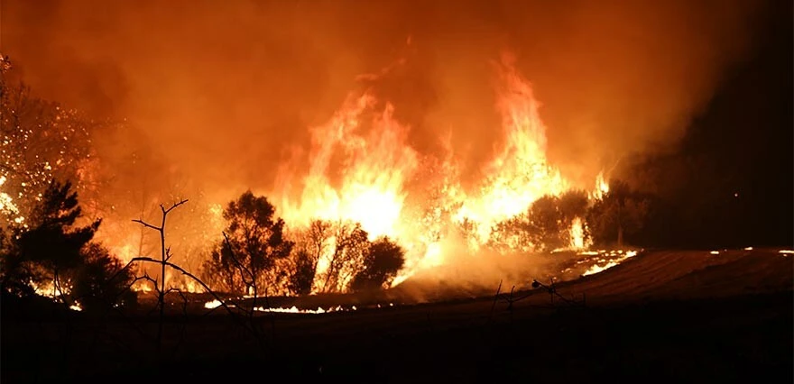 Çanakkale'de orman yangını