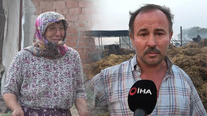 Yangında 30 yıllık emekleri küle döndü: Tarifi çok zor