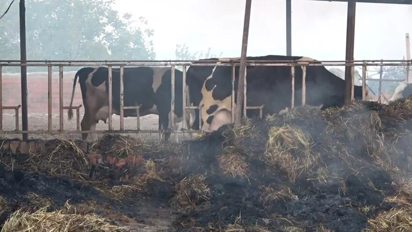 Yangında 30 yıllık emekleri küle döndü: Tarifi çok zor