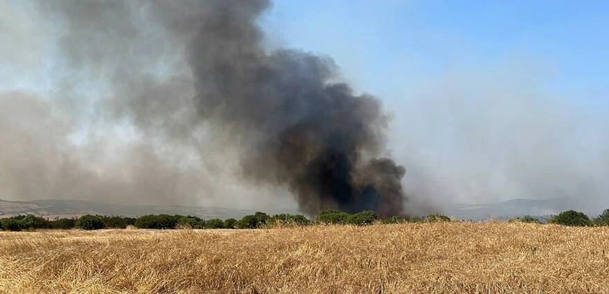 Çanakkale'de yine alevler yükseliyor! Biga'da ağaçlık alanda yangın çıktı