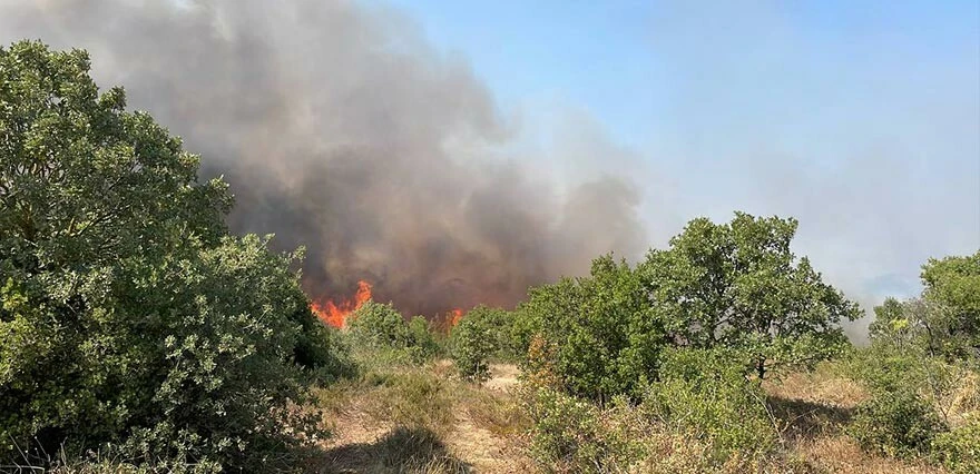 Çanakkale'de yine alevler yükseliyor! Biga'da ağaçlık alanda yangın çıktı
