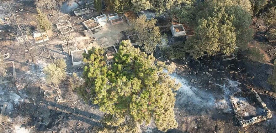 Mezarların son hali görenleri üzdü! Resmen yangında kül oldu...