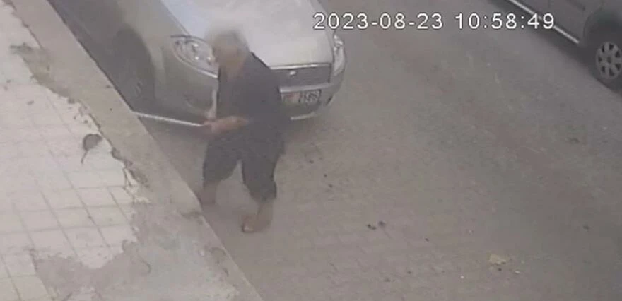 Kedi sanıp dokundu, kanlar içinde kaldı! Yaşlı kadının korku dolu anları...