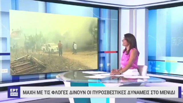 Yunan spikerden yangında ölen göçmenler için skandal sözler! Vicdansızlığın böylesi!