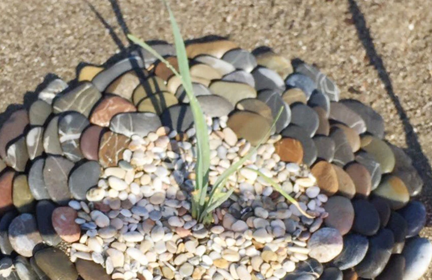 Görenleri kendine hayran bırakıyor! Kopartmanın cezası 244 bin 315 TL!