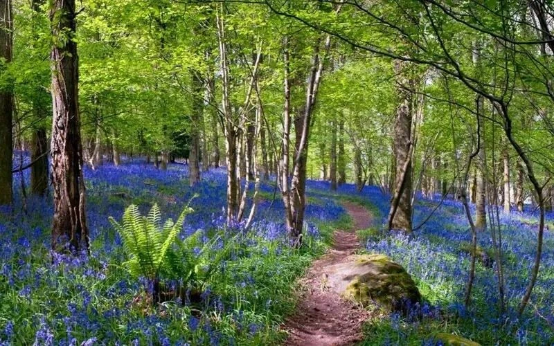 Cesur mu yoksa nazik misiniz? Seçtiğiniz <a href=