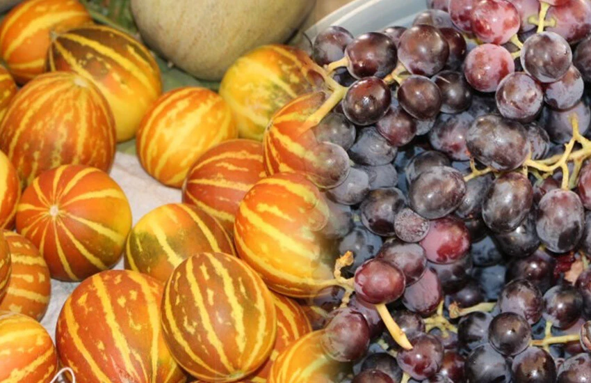 Organik pazarda ucuzluk bereketi! Duyan koşuyor: Domates, patlıcan ve biber 10 lira