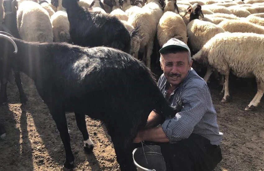 Adana’da göçerler 20 bin lira maaşa çalışacak kimse bulamıyor!