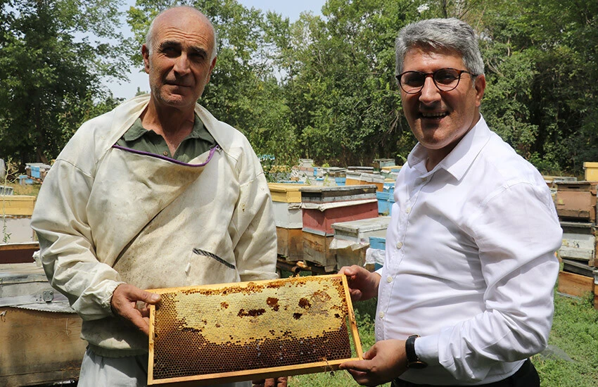Arıcılar tescilli "geven balı" hasadında! Fiyatı belli oldu