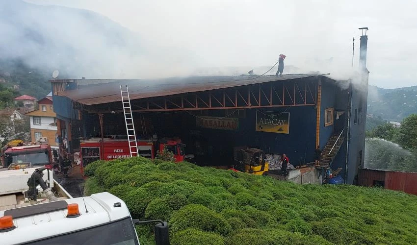 Çay fabrikasında korkutan yangın!