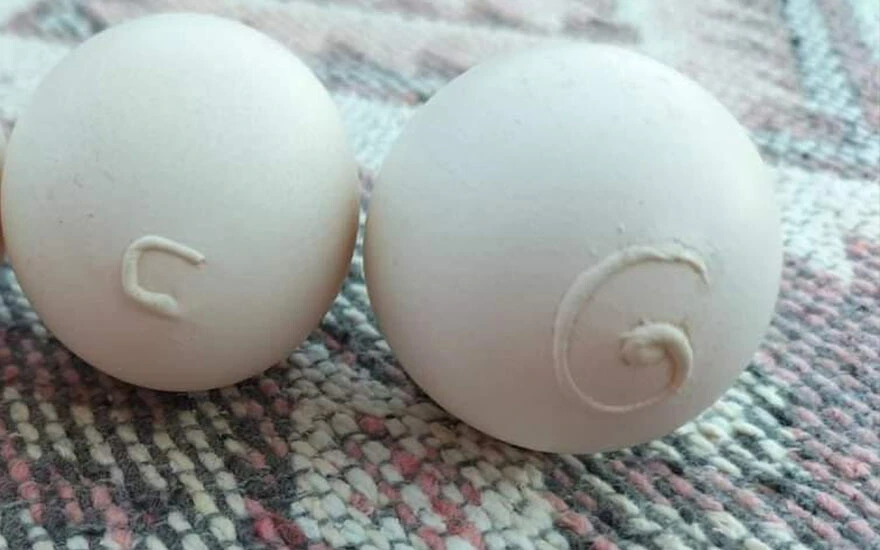 Sıra dışı bir olay! Kümesten yumurtayı alınca gözlerine inanamadı: İlk defa böyle bir şeyle karşılaşıyorum