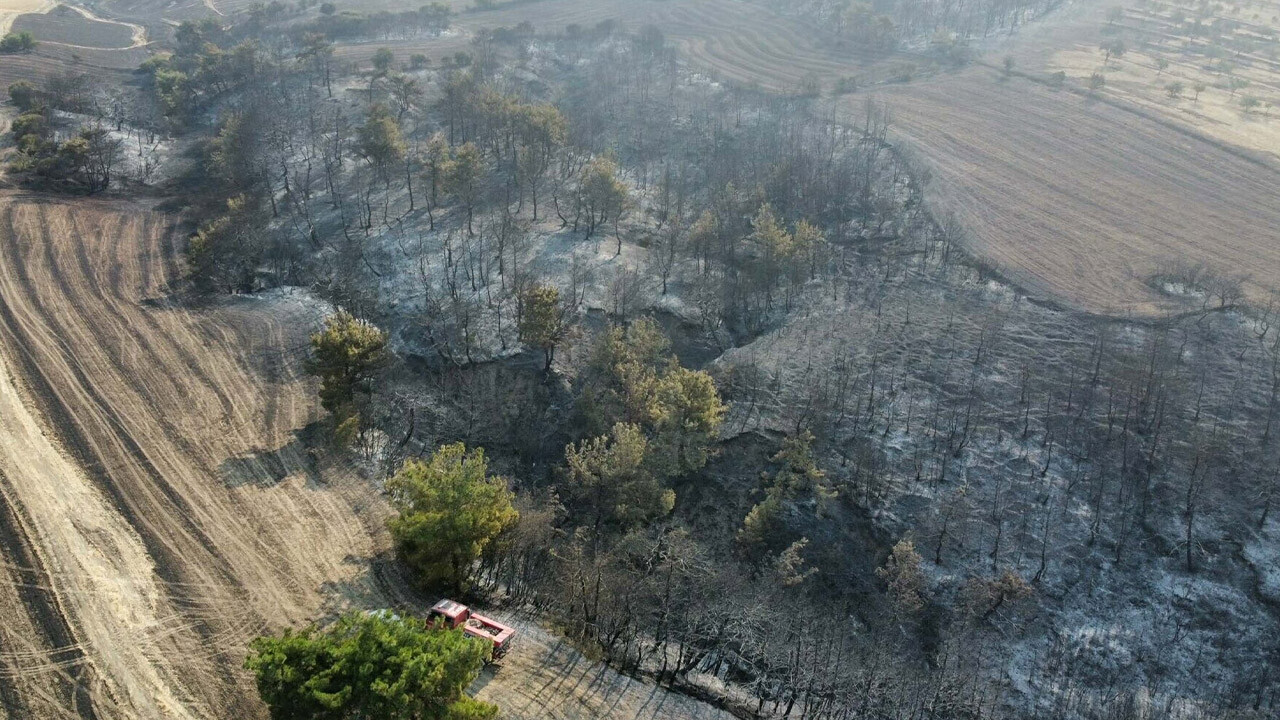 Çanakkale&#039;de yangının yaraları sarılıyor: Yüzlerce aileye yardım ödemesi başladı!