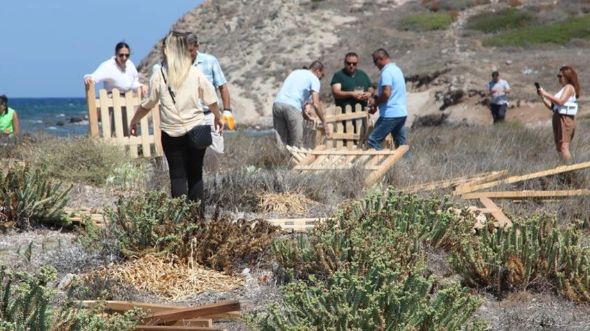 Bu çiçeği koparan yandı! Cezası dudak uçuklatıyor