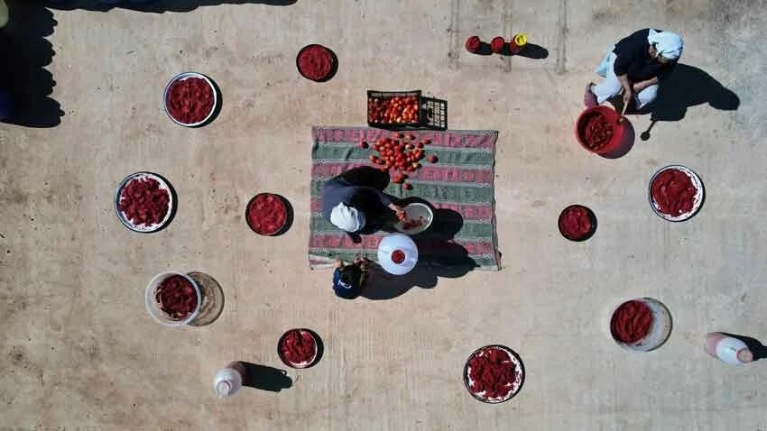 Kadınlar zorlu mesaide ter döküyor! Salça yapımı başladı, her yer kırmızı renge büründü