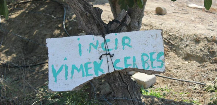 Osmanlı dönemine ait gelenek! Bahçesine astığı not görenleri gülümsetti