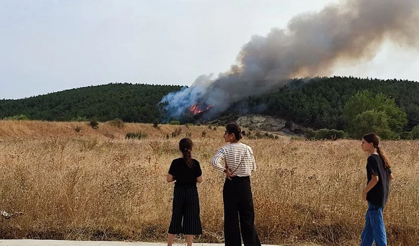 Edirne'deki orman yangını kontrol altına alındı