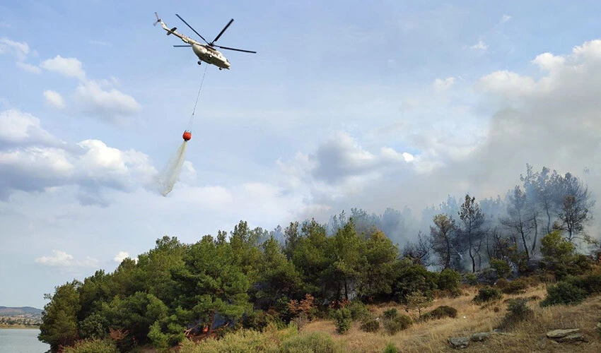 Edirne'de çıkan orman yangınına müdahale edildi.