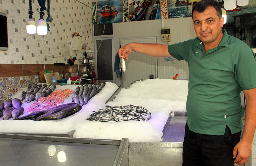 İstavritin kilosu 100 liradan satılıyor.