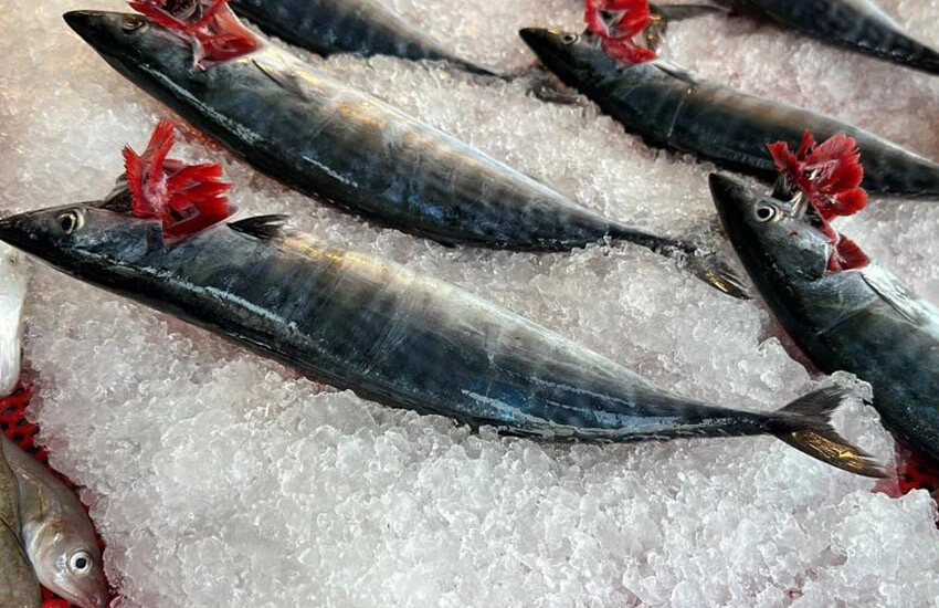 Gram ve tane olarak satılıyor! Hamsi, mezgit, palamut ve çupranın fiyatı belli oldu