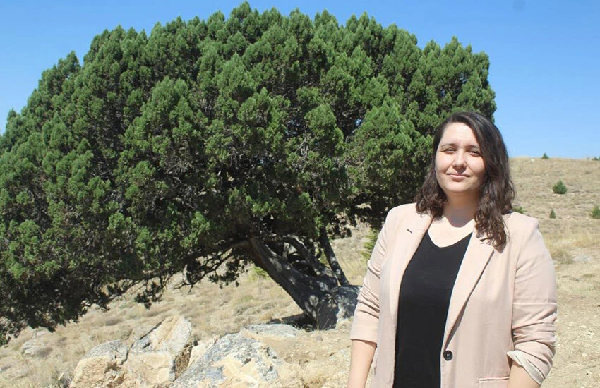 Kuş uçmaz kervan geçmez yerde tam 700 yaşında