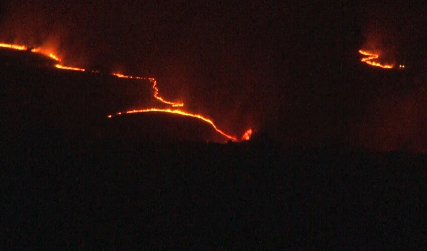 Bulgaristan'da orman yangını