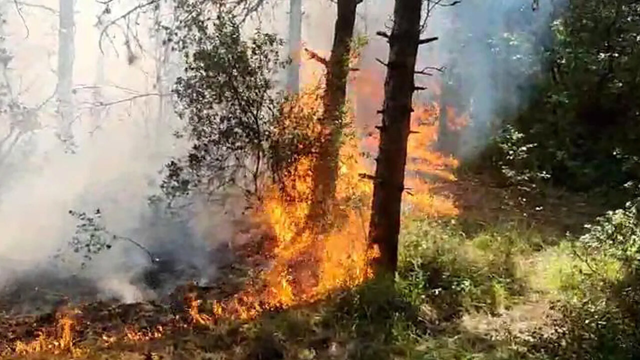 İstanbul Sultangazi&#039;de orman yangını! İtfaiye ekiplerinin müdahalesi sürüyor 