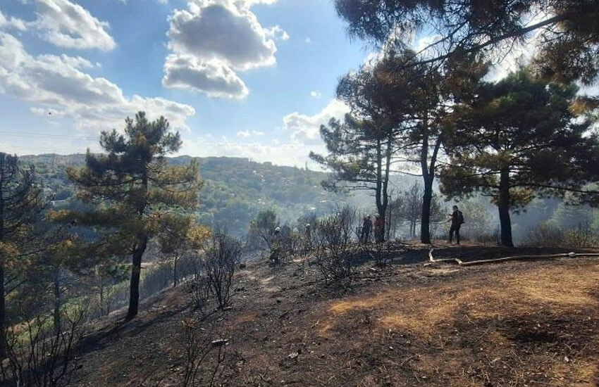 Sultangazi'deki orman yangınında kundaklama iddiası! Vali Gül açıkladı: Piknikçiler yüzünden çıkmadı