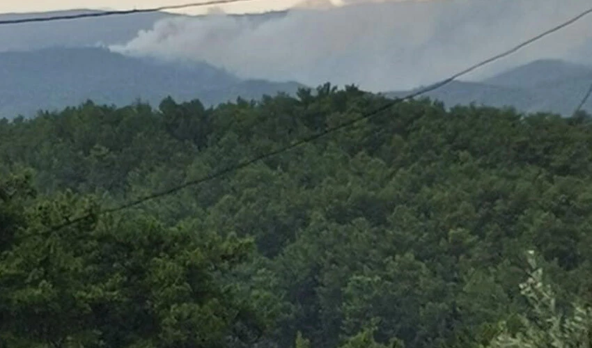 Marmaris'te yıldırım yangınına müdahale