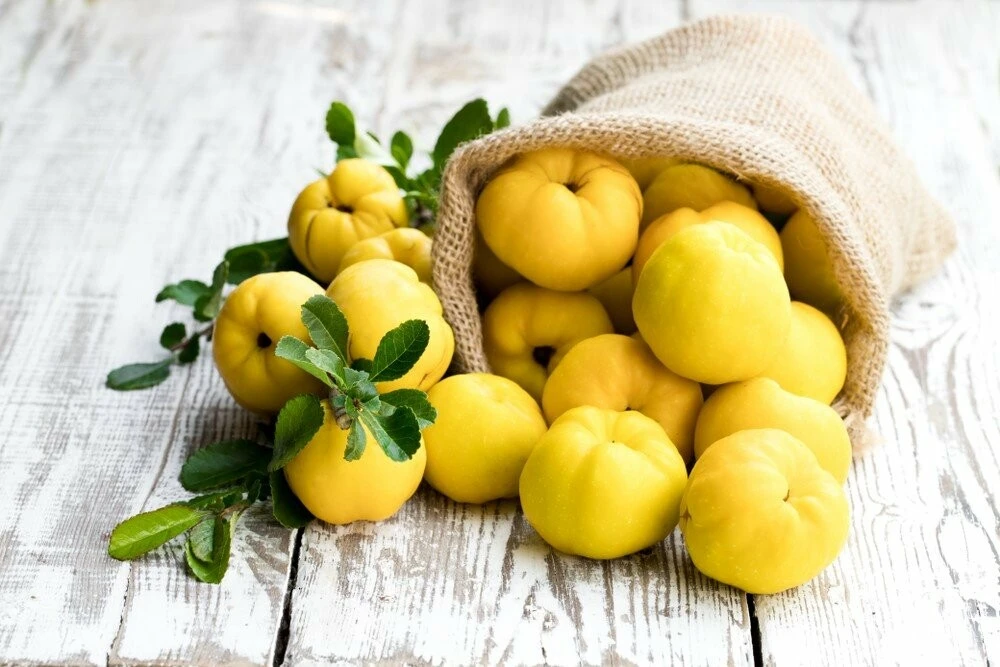 Bu yöntem ishali şıp diye kesiyor! İşte mide ve bağırsak sorunlarınızı ortadan kaldıran 15 doğal yöntem…