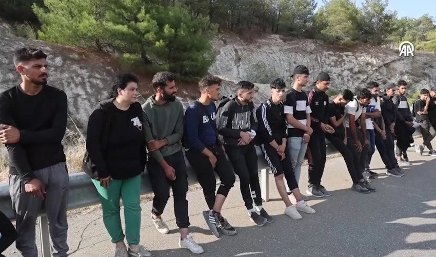 orman yangını Yunanistan'daki <a href=