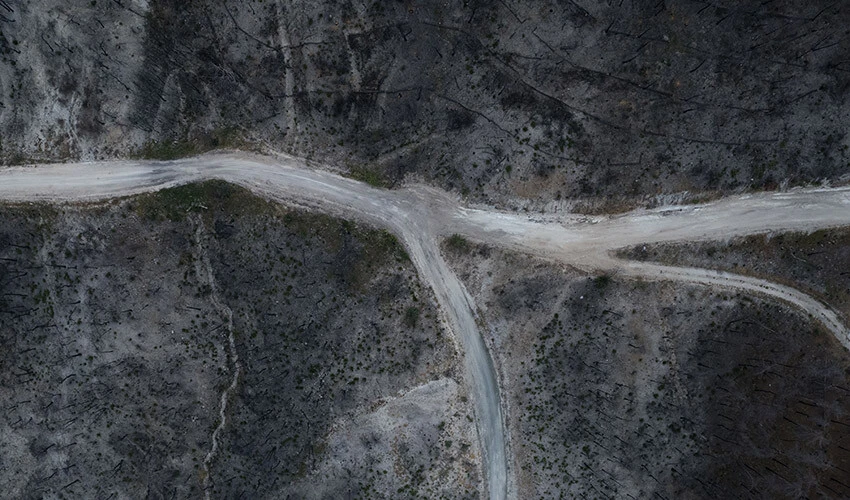 Yunanistan'daki orman yangınları büyük hasar oluşturdu