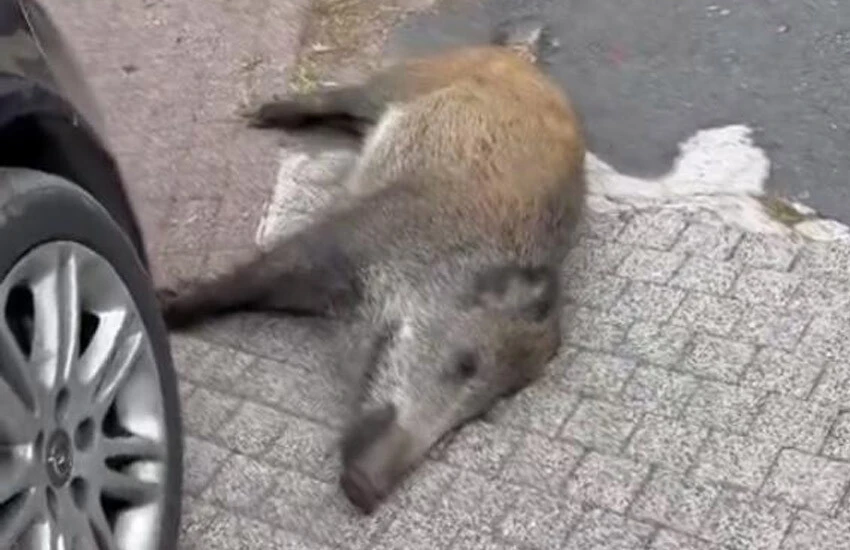 İstanbul’un göbeğinde <a href=