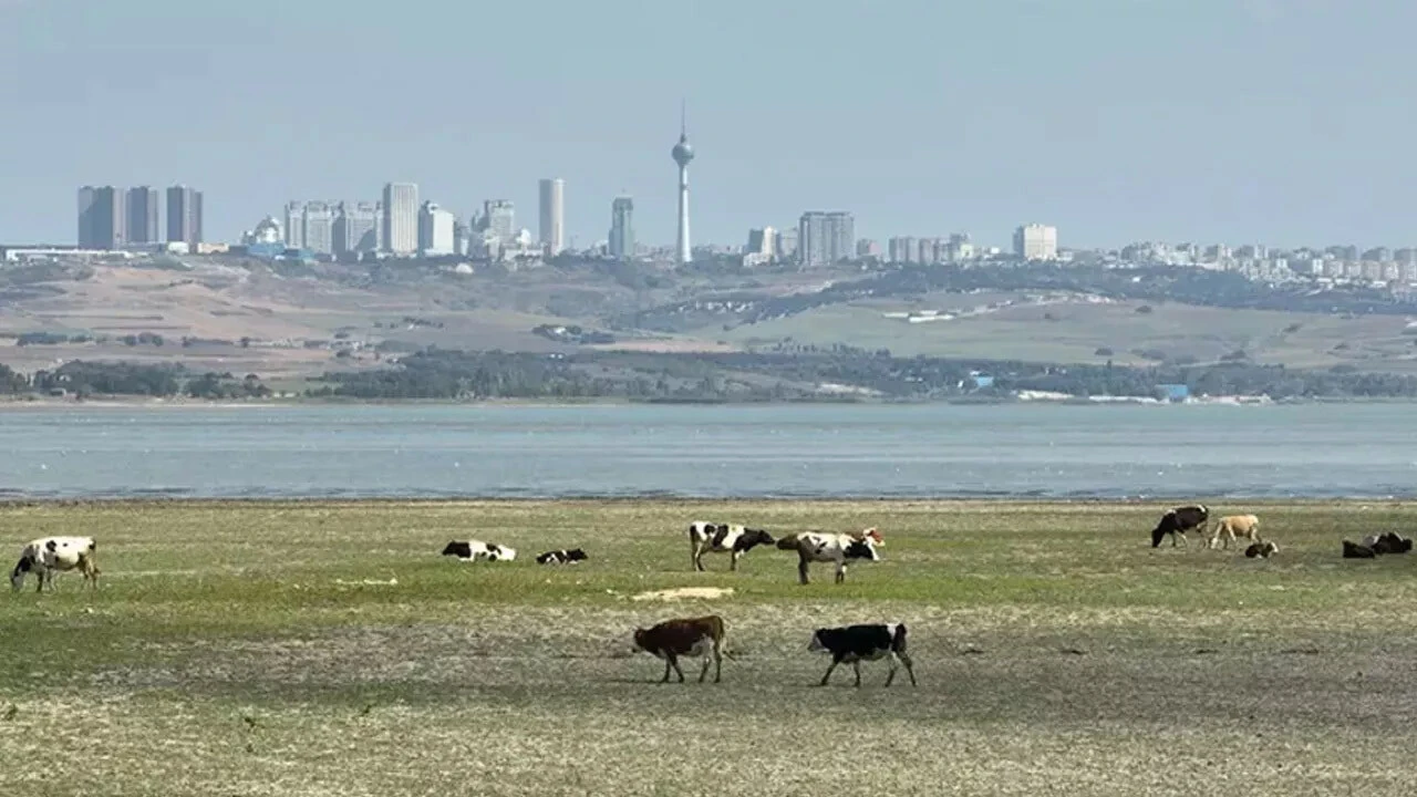 Sağanak sonrası İstanbul barajlarında son durum! Doluluk oranları açıklandı