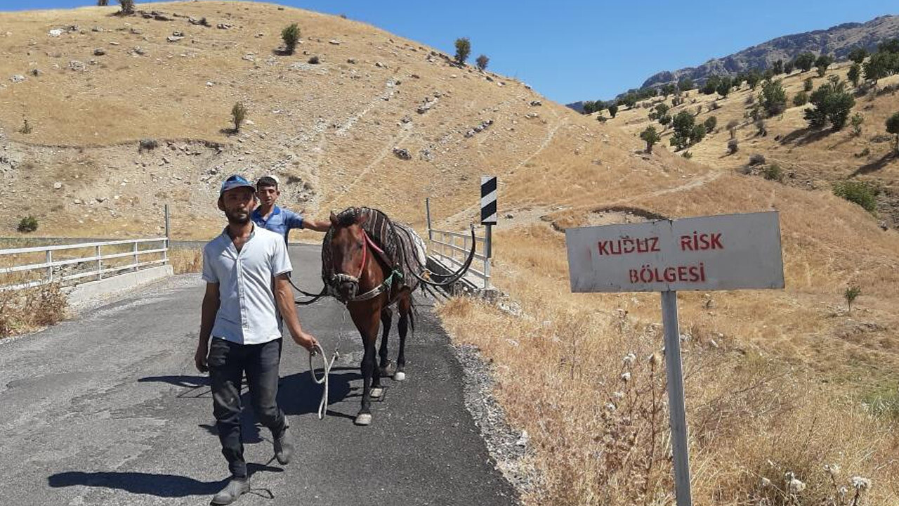 Adıyaman&#039;da &#039;kuduz at&#039; paniği! Sahibini ısırdı, köy karantinaya alındı