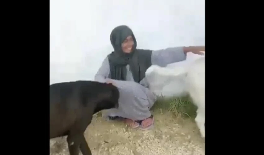 Yıldız Tilbe köy yaşantısından video paylaştı! Başörtüsü takıp, şalvar giydi