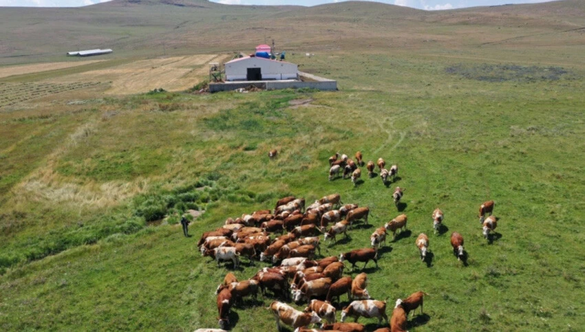 Tarım ve Orman Bakanlığı kırsal destekler