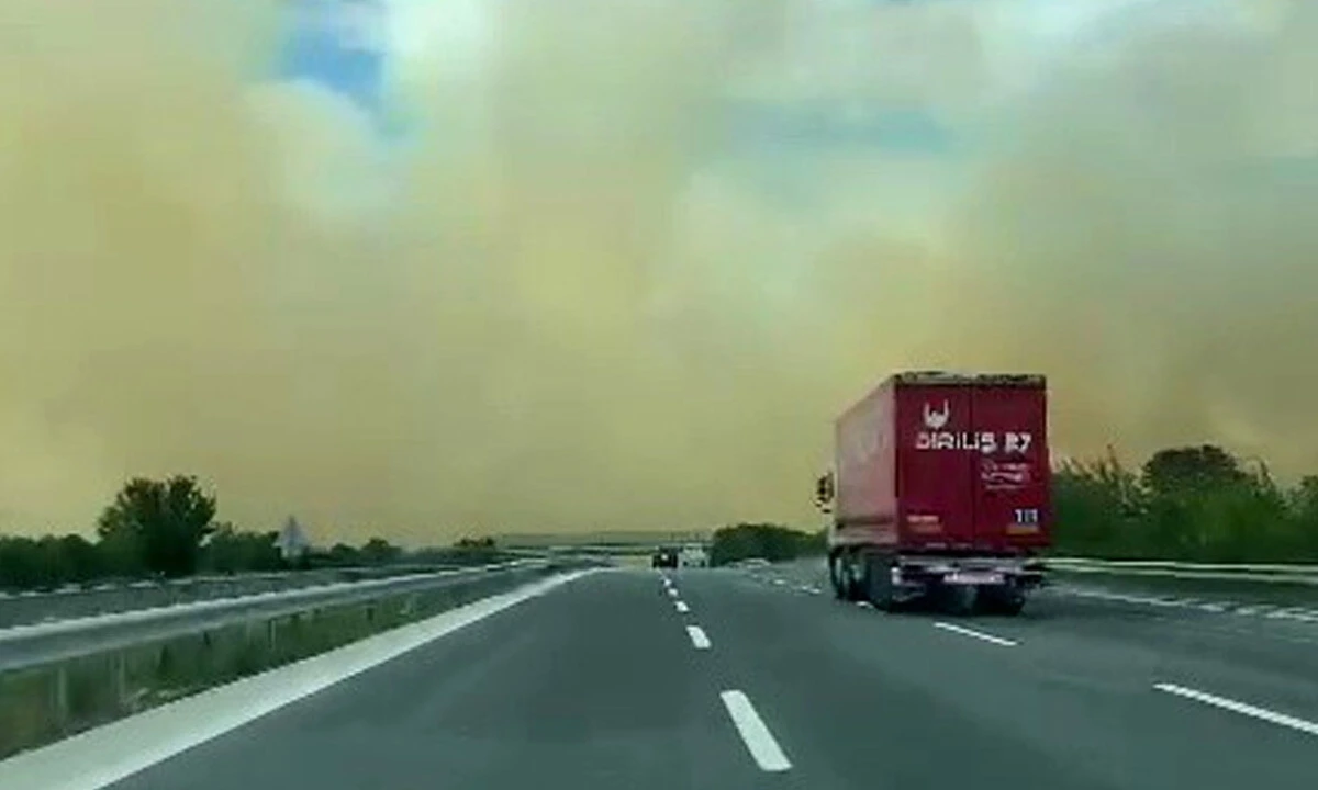 Son dakika! TEM'de zincirleme kaza, 12 araç birbirine girdi: 2 ölü, 35 yaralı