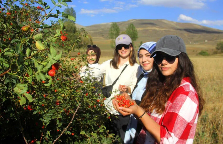 Kanserden enfeksiyona her derde deva! Dağlardan gelen lezzet geçim kaynağı oldu