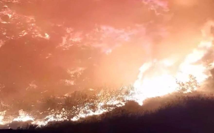 Aydın'da makilik alandaki yangın adeta geceyi aydınlattı