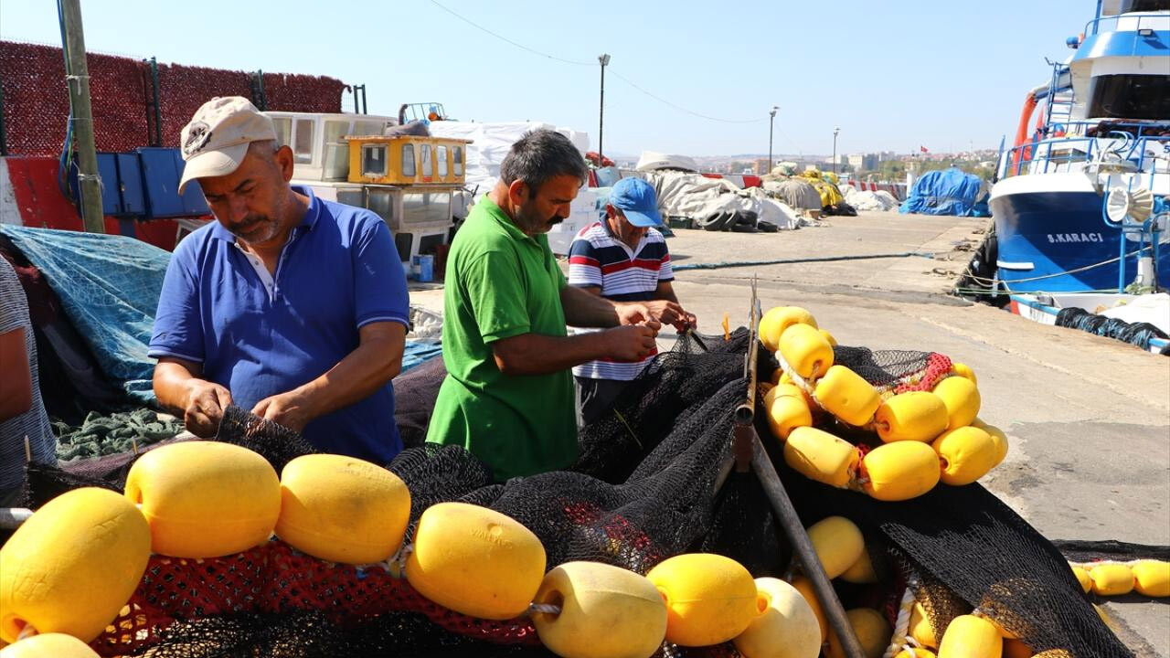 Balıkçılar yeni sezondan umutlu: Tezgahlar hamsi ile bereketlendi