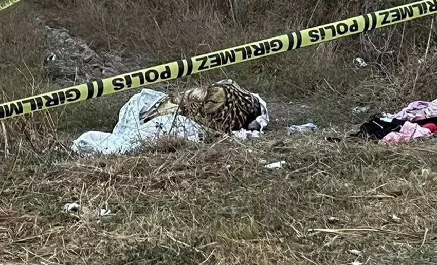 Sevgilisini fare zehri vererek öldüren caninin savunması pes dedirtti