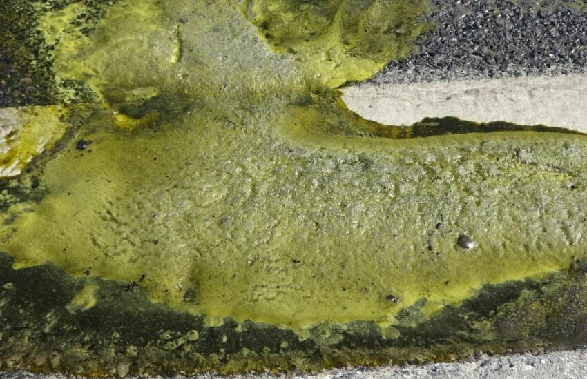 Pendik'te alarm! Kimyasal dolu varil patladı, yol trafiğe kapatıldı