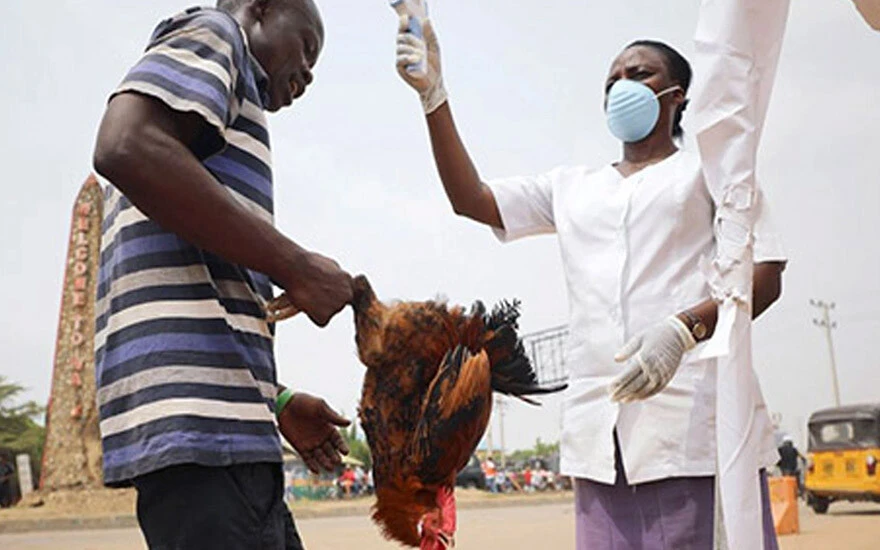 DSÖ'den kritik rapor: Nijerya'da ikinci difteri salgını yayılıyor